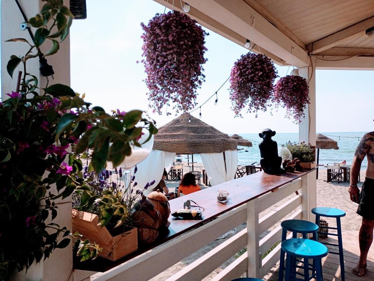 B&B Purple Italy Фьюмичино Экстерьер фото
